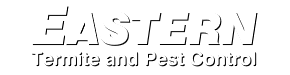 Eastern Logo